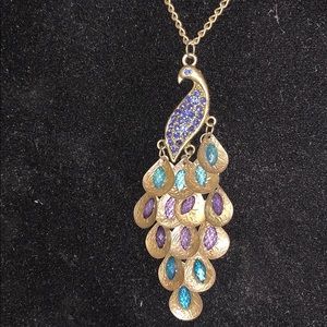 Peacock with droplet feathers – ornate